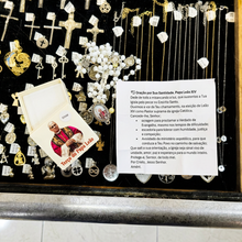 Load image into Gallery viewer, Pope Leo XIV Rosary