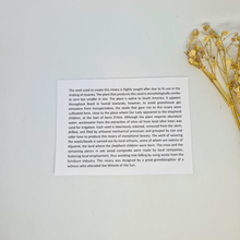 Load image into Gallery viewer, Seeds Rosary - Tears of Our Lady of Fatima